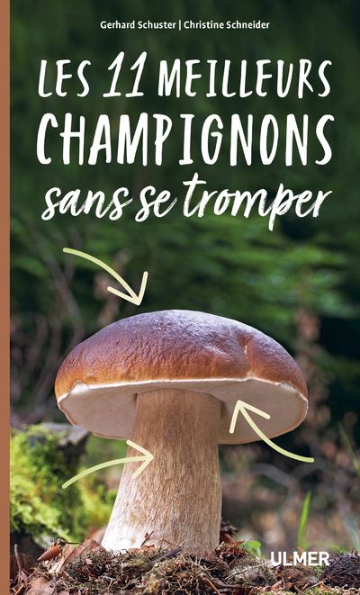 10 champignons les plus surs et les meilleurs