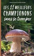 Les 11 meilleurs champignons sans se tromper