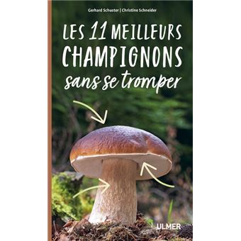 Les 11 meilleurs champignons sans se tromper