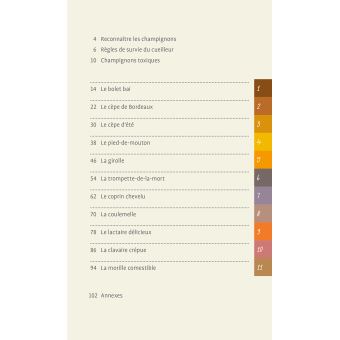 Les 11 meilleurs champignons sans se tromper