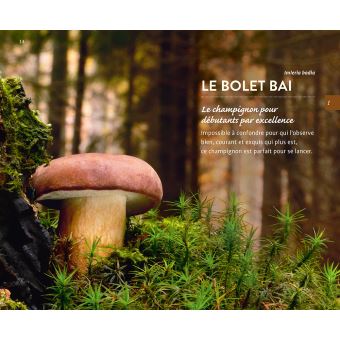 Les 11 meilleurs champignons sans se tromper