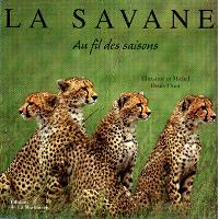 La savane