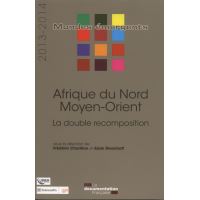 Afrique du nord - Moyen-orient 2013-2014 - La double recomposition
