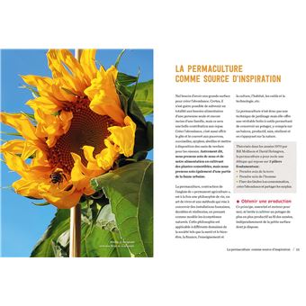 Mon balcon nourricier en permaculture - Des récoltes abondantes sur 4 m2