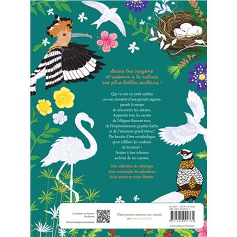 Les coloriages dans la nature - Les oiseaux