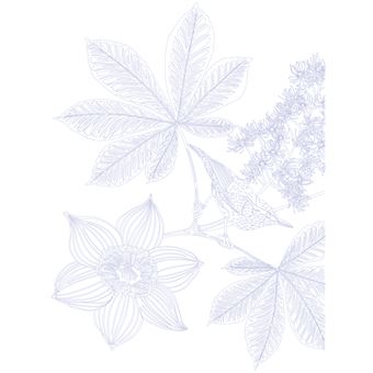 Les coloriages dans la nature - Les oiseaux