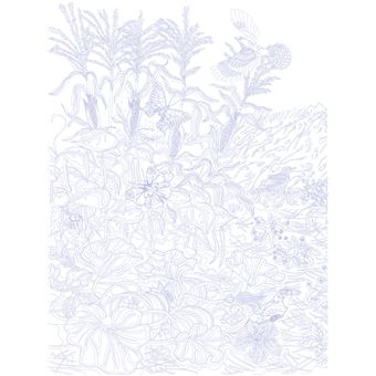 Les coloriages dans la nature - Les oiseaux