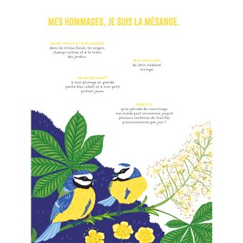 Les coloriages dans la nature - Les oiseaux