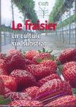 Le fraisier en culture sur substrat dvd