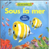 Sous la mer - ou est cache...? - avec rabats