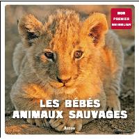 Les bebes animaux sauvages (coll. mon premieranimalier)
