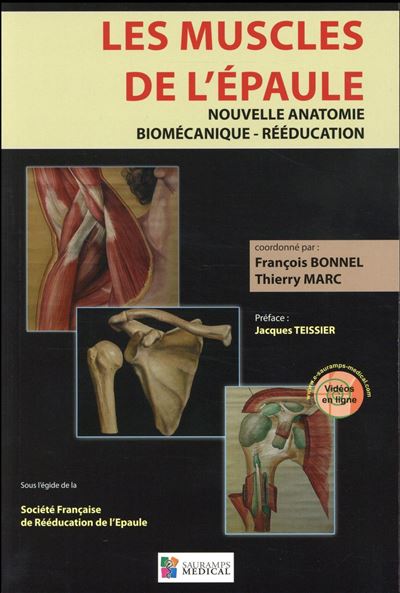 Les muscles de l'épaule
