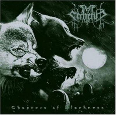 Chapters of blackness/inclus piste video