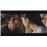 Le portrait interdit DVD_3