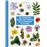 Dictionnaire visuel des plantes de la garrigue et_0