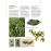 Dictionnaire visuel des plantes de la garrigue et_1