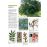Dictionnaire visuel des plantes de la garrigue et_2