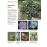 Dictionnaire visuel des plantes de la garrigue et_3