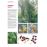 Dictionnaire visuel des plantes de la garrigue et_5