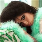 Familia - Vinilo Verde