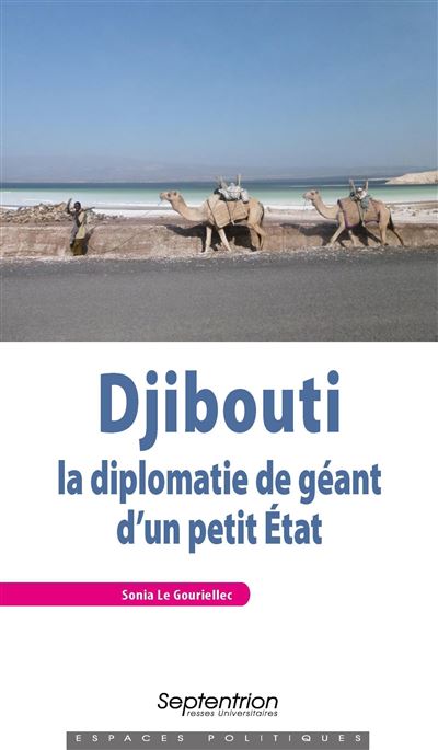 Djibouti:la diplomatie de geant d'un petit etat