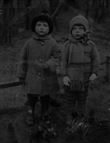 Mischling