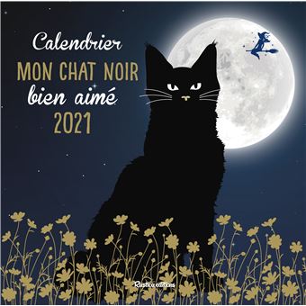 Calendrier Mon Chat Noir Bien Aime 21 Broche Nathalie Semenuik Livre Tous Les Livres A La Fnac