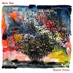 Migrant Flocks - Vinilo