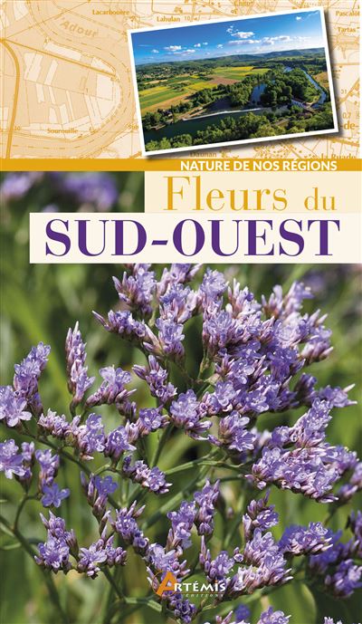 Fleurs du sud-ouest