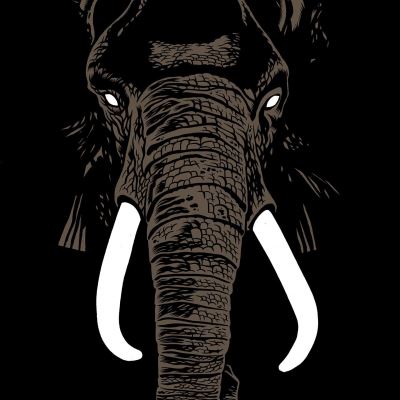 Don't Buy Ivory Anymore! - The Music of Henri Texier