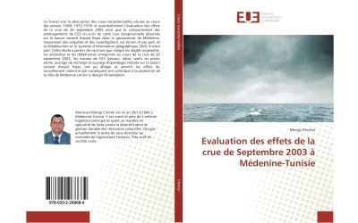 Evaluation des effets de la crue de septembre 2003 a medenin