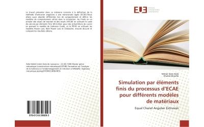 Simulation par elements finis du processus d'ecae pour diffe