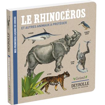 Le rhinocéros et autres animaux à protéger - Deyrolle