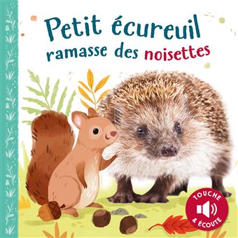 Petit écureuil ramasse des noisettes