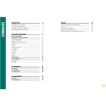 Petit guide illustré de botanique