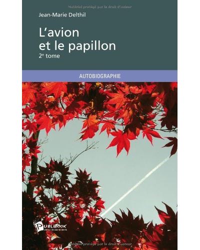 L'avion et le papillon