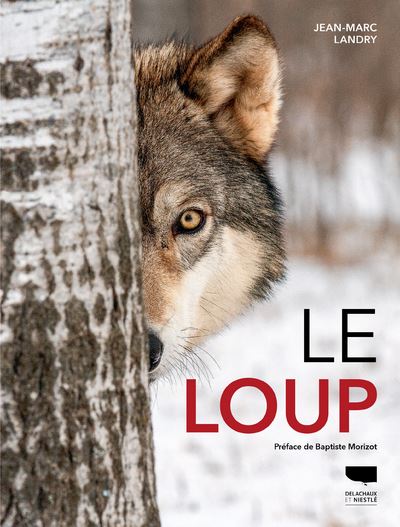 Le Loup - broché - Jean-Marc Landry, Livre tous les livres à la Fnac