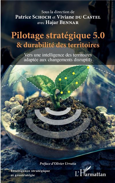 Pilotage stratégique 5.0 et durabilité des territoires