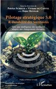 Pilotage stratégique 5.0 et durabilité des territoires