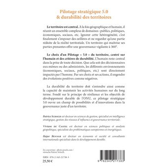 Pilotage stratégique 5.0 et durabilité des territoires