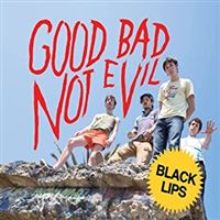 Good Bad Not Evil - 2 Vinilos