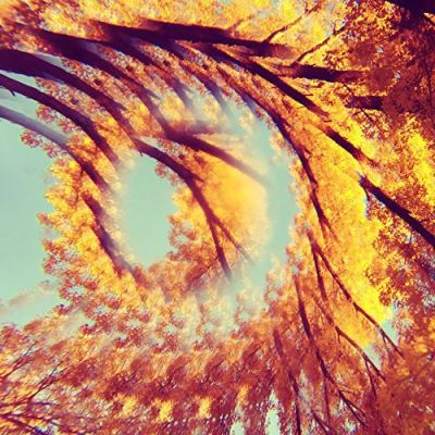 FOREST BATHING/LP