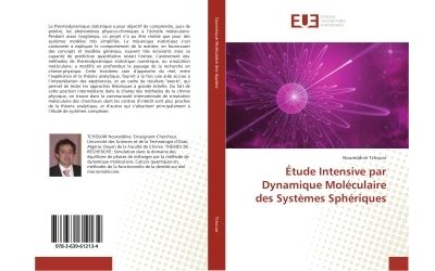 Etude intensive par dynamique moleculaire des systemes spher