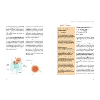 Intestins irritables