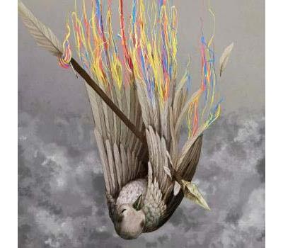 Paper Wings