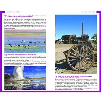 Guide du Routard Chili et île de Pâques 2023/24