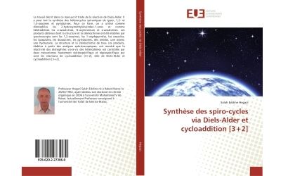 Synthese des spiro-cycles via diels-alder et cycloaddition [