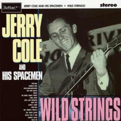 Wild strings