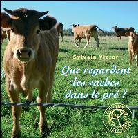 Que regardent-elles les vaches dans le pre?