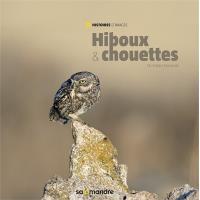 Hiboux & Chouettes